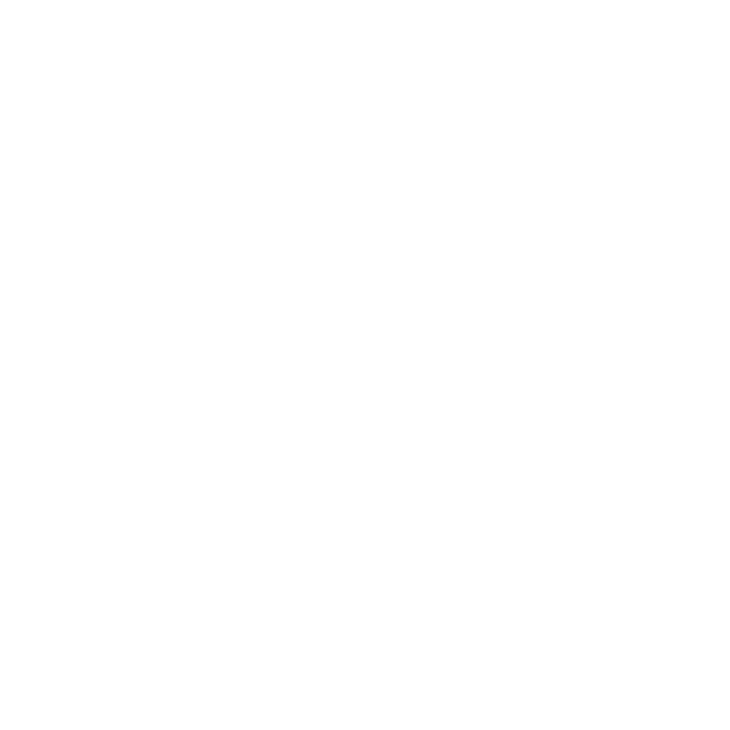 Wiindy Mascot